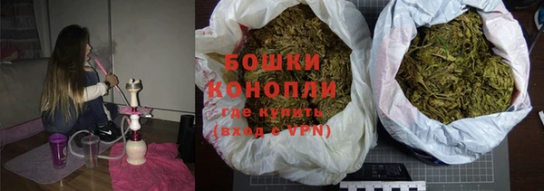 индика Арсеньев