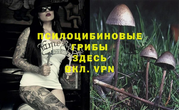 первитин Краснотурьинск