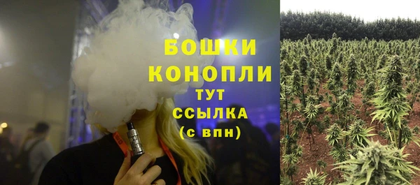 хмурый Балабаново