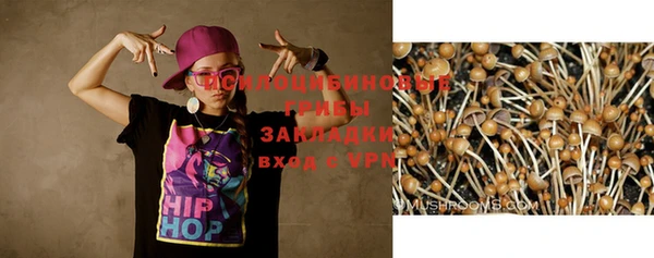 хмурый Балабаново