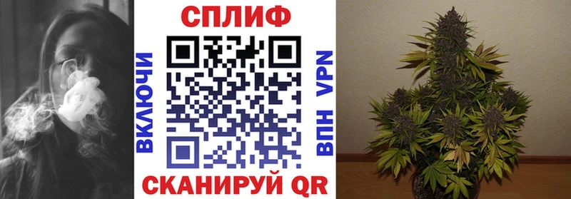 МАРИХУАНА ГИДРОПОН  Ладушкин 